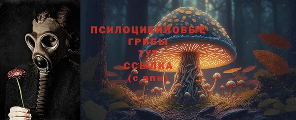 ГАЛЛЮЦИНОГЕННЫЕ ГРИБЫ Зеленокумск